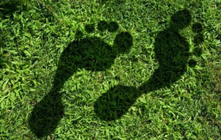 Green IT Footprint