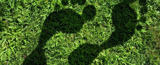 Green IT Footprint
