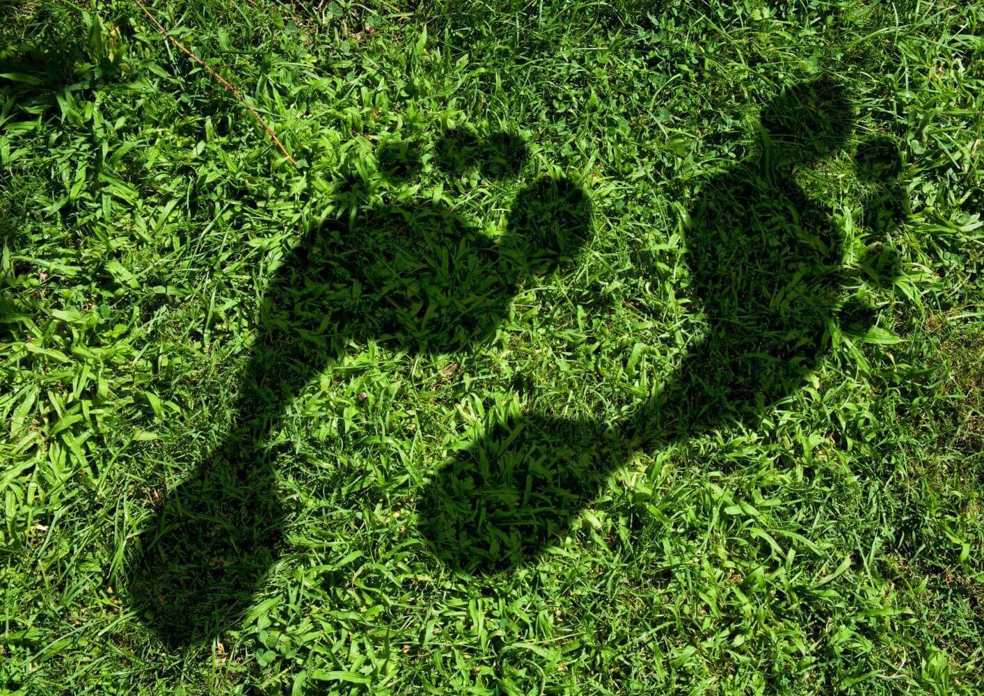 Green-IT-Footprint Green IT Footprint